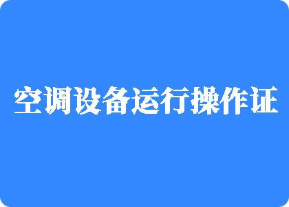 大鸡巴无码在线播放制冷工证